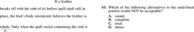 body_ACTvocab3